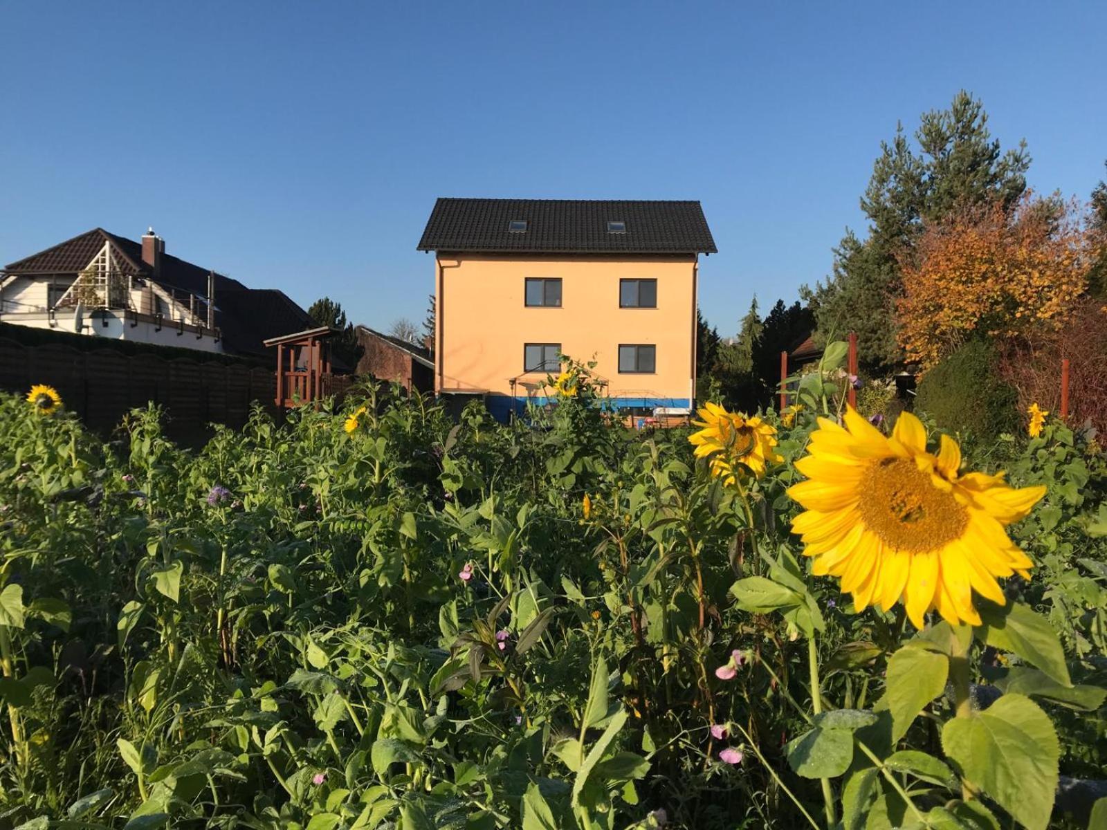 Stadt. Land. See. Ferienwohnung Leipzig Bagian luar foto